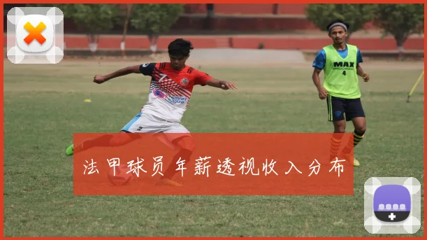 法甲球员年薪透视收入分布
