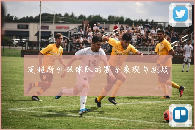 英超新升级球队的赛季表现与挑战