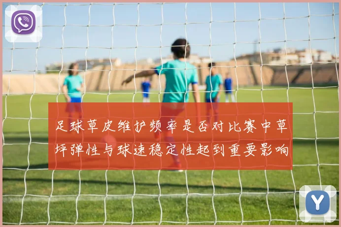 足球草皮维护频率是否对比赛中草坪弹性与球速稳定性起到重要影响