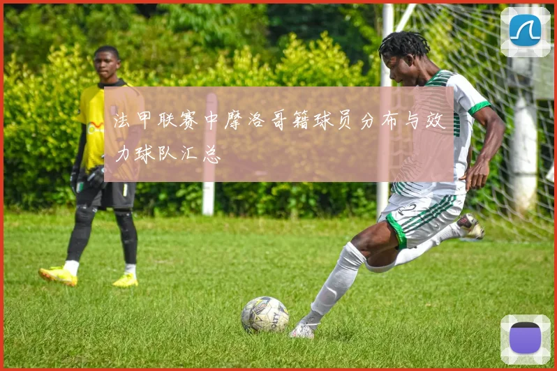 法甲联赛中摩洛哥籍球员分布与效力球队汇总
