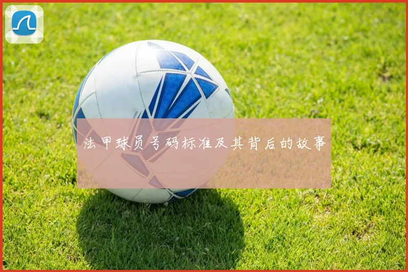法甲球员号码标准及其背后的故事