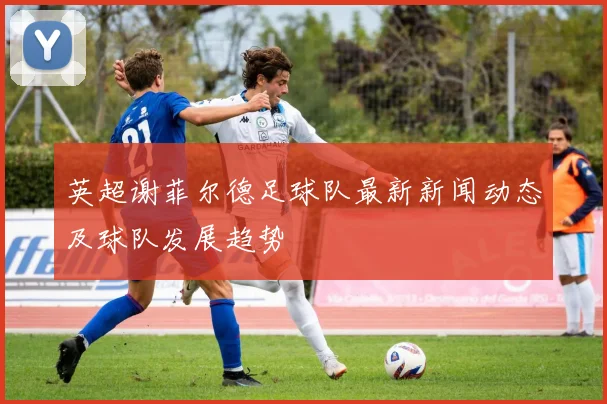 英超谢菲尔德足球队最新新闻动态及球队发展趋势